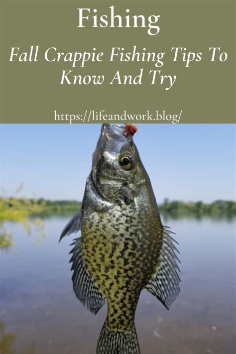 Things to know about fishing in the fall